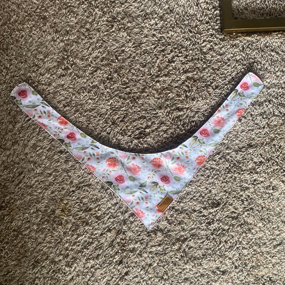 Remy+Roo Bandana